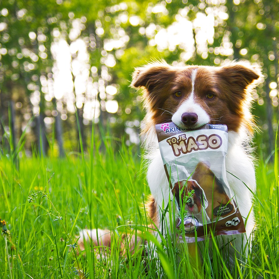 Akinu vepřové ucho 1ks Obrázek