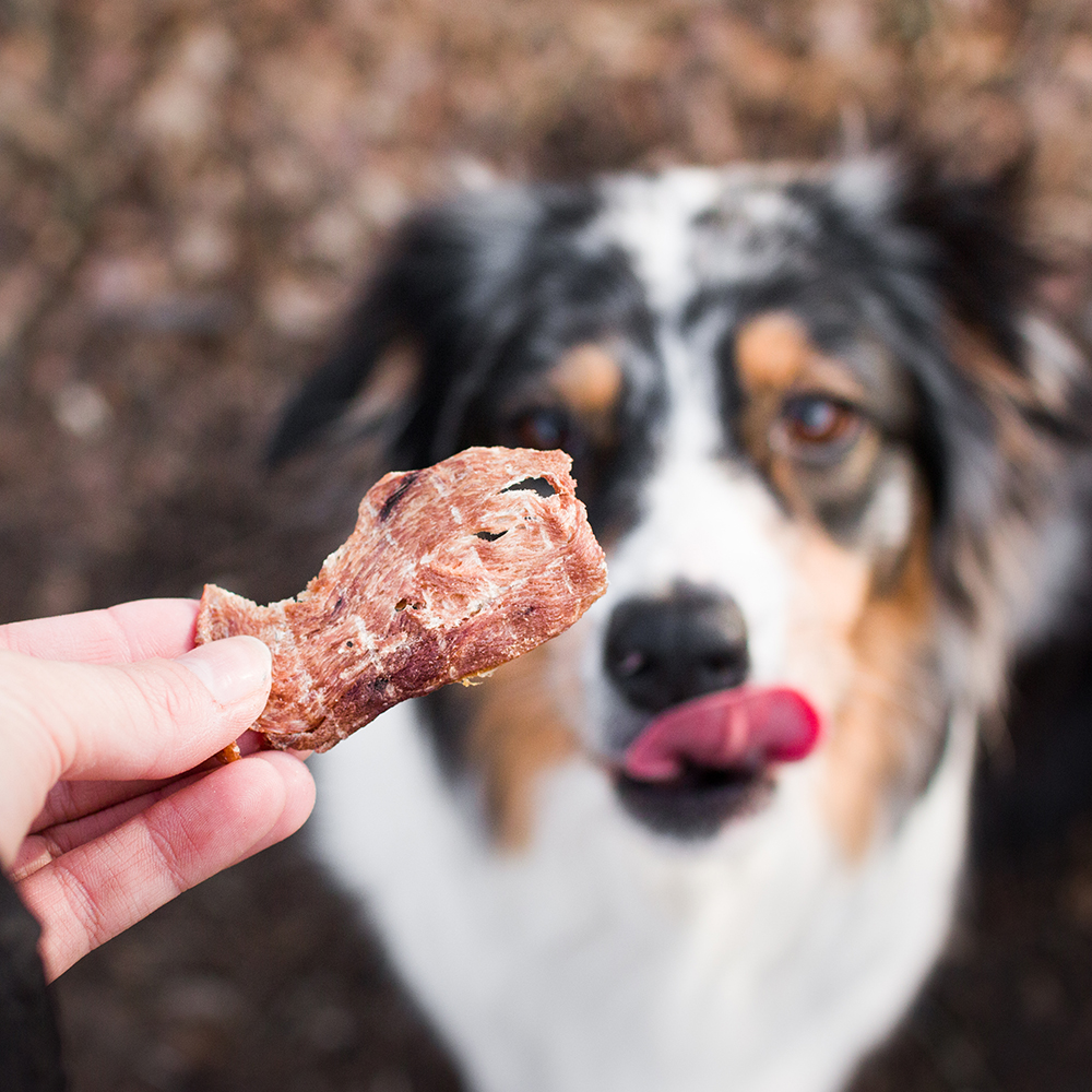 Akinu VITALITY Jerky bažant 50g Obrázek