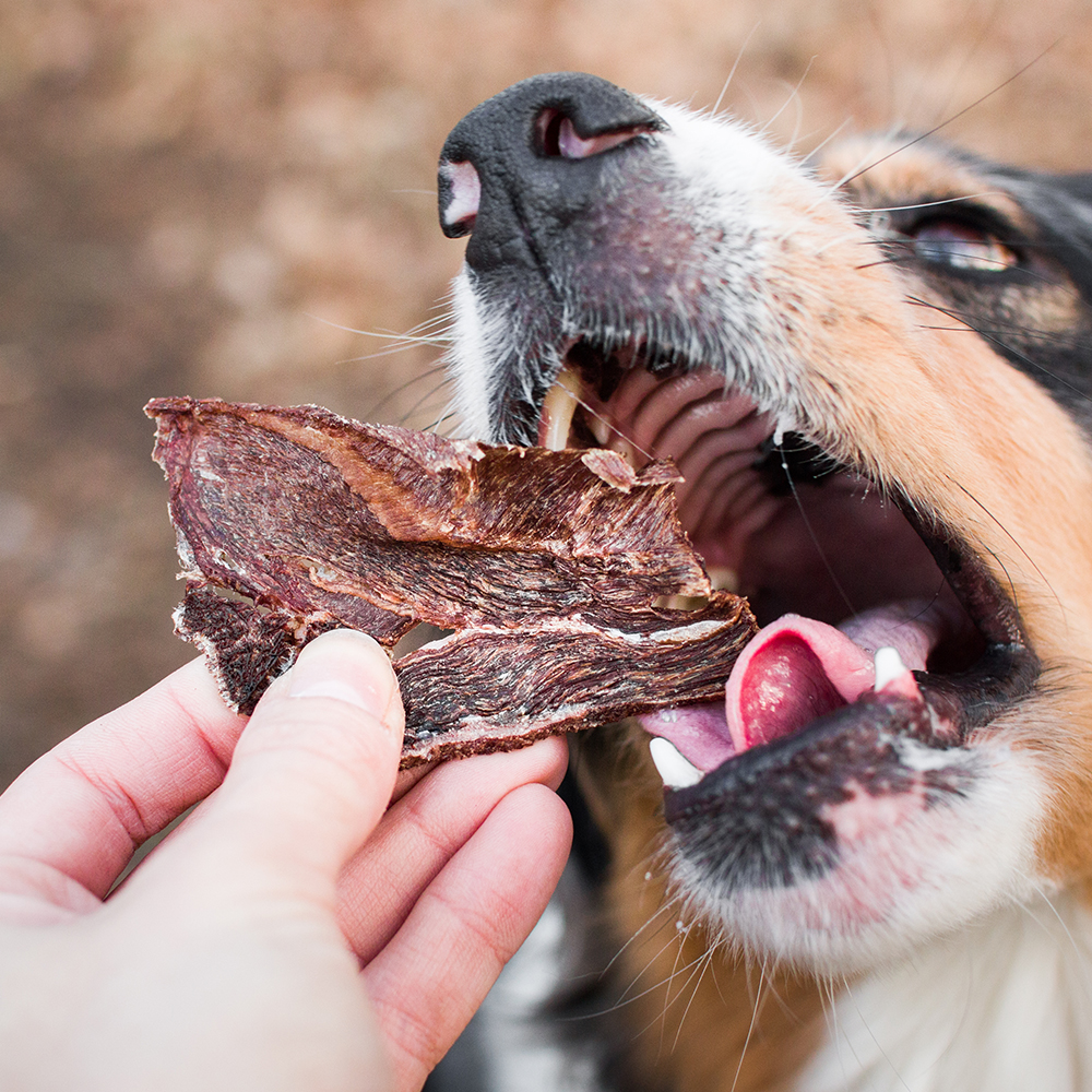 Akinu VITALITY Jerky jelen 50g Obrázek