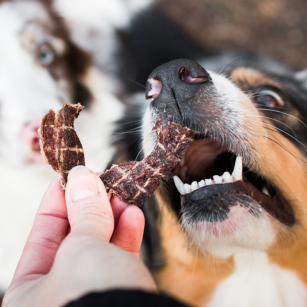 Akinu VITALITY Jerky srnec 50g Obrázek