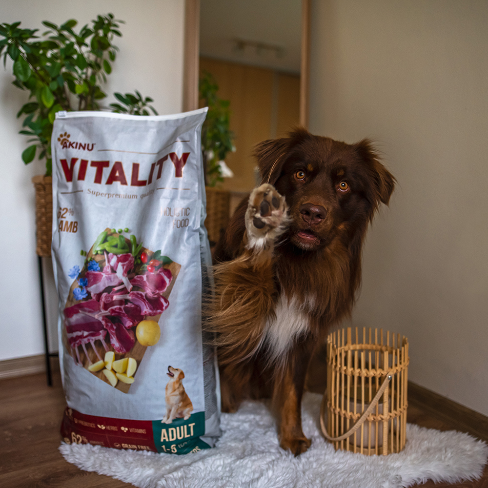 Akinu VITALITY dog adult hypoallergic lamb 12kg Obrázek