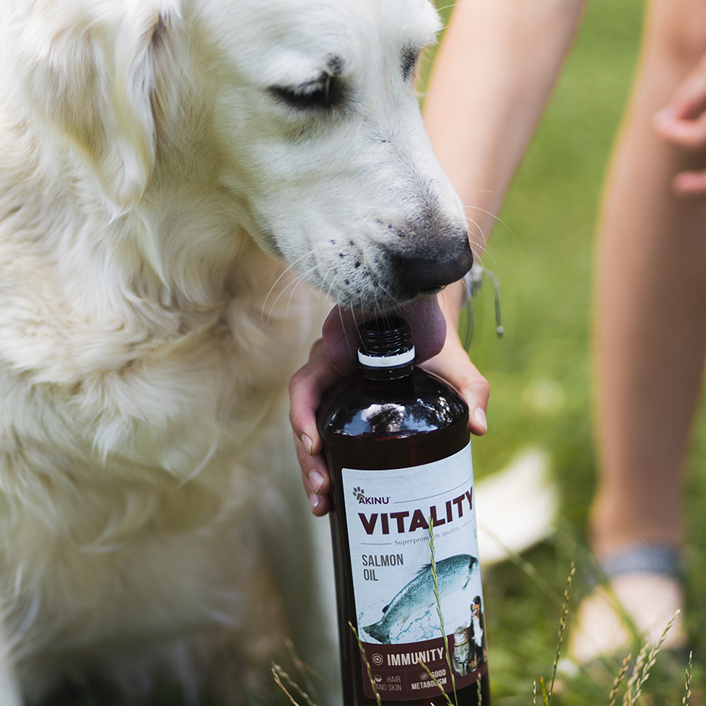 Akinu VITALITY Lososový olej 1 l Obrázek