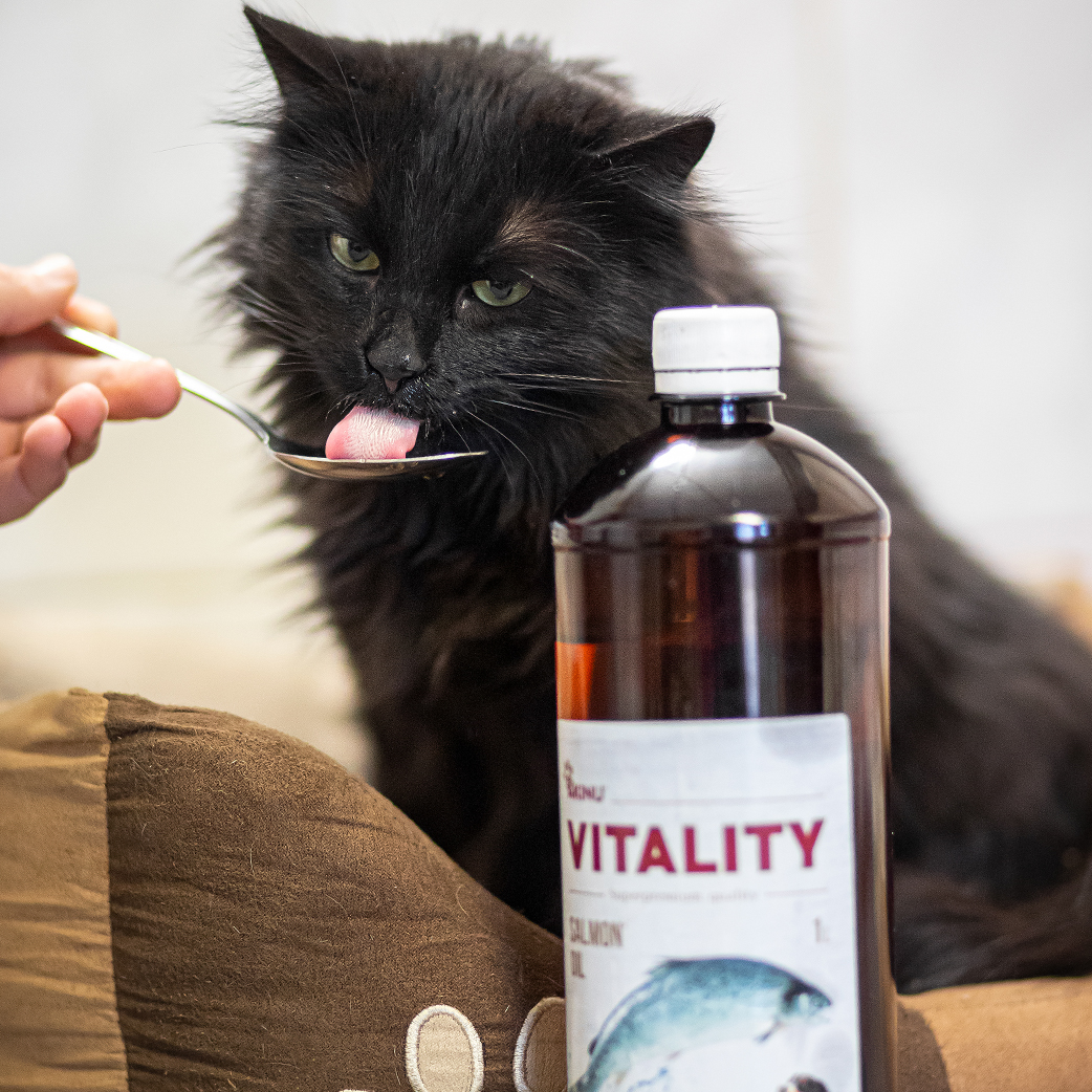 Akinu VITALITY Lososový olej 1 l Obrázek