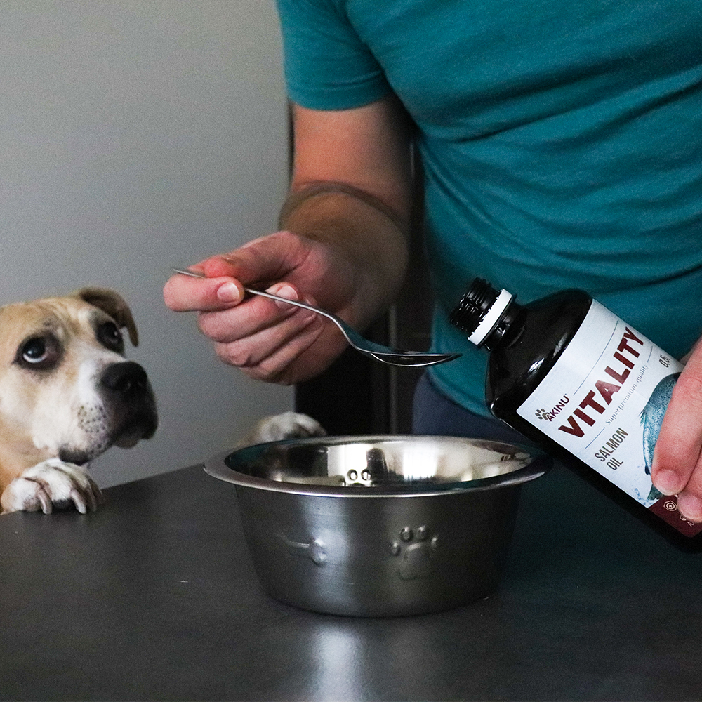 Akinu VITALITY Lososový olej 500 ml Obrázek