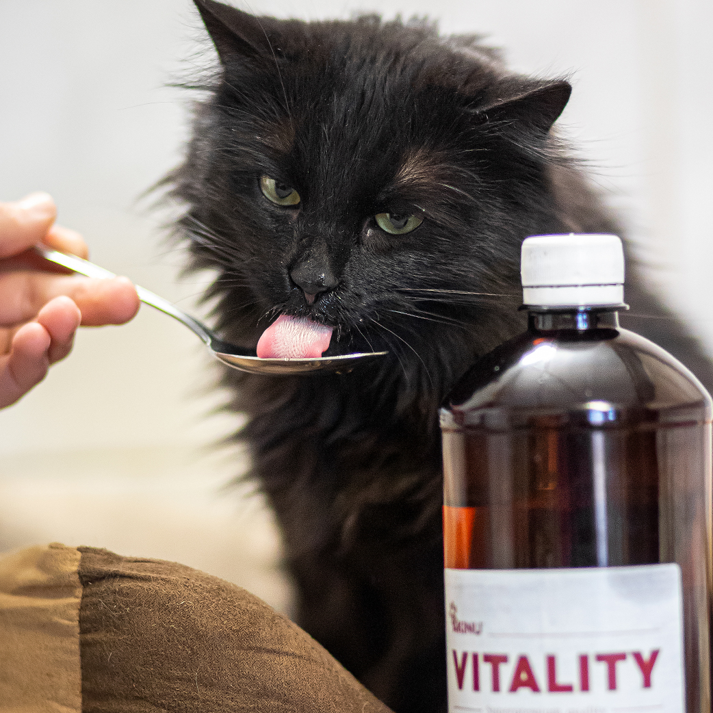 Akinu VITALITY Lososový olej 500 ml Obrázek