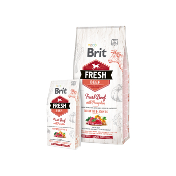 Brit Fresh Dog Beef & Pumpkin Puppy Large 12kg Obrázek