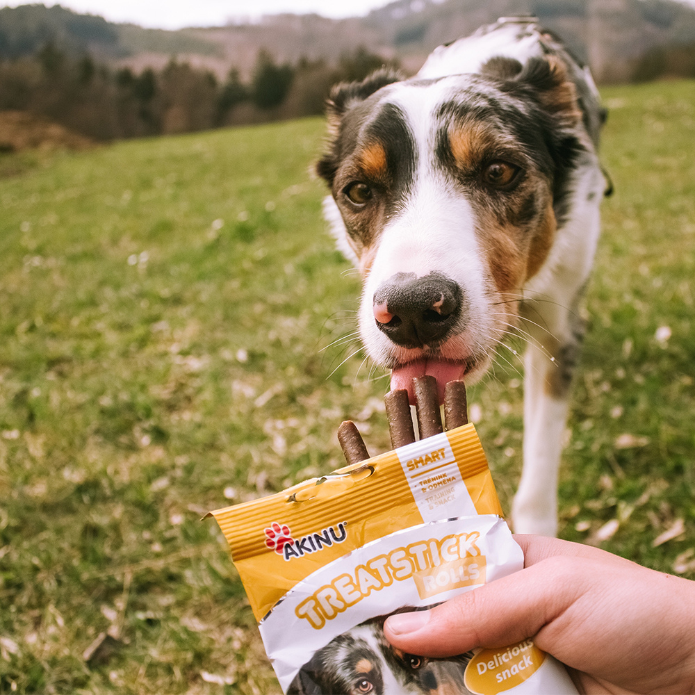 Akinu TREATSTICK tyčinky dršťky 12ks Obrázek