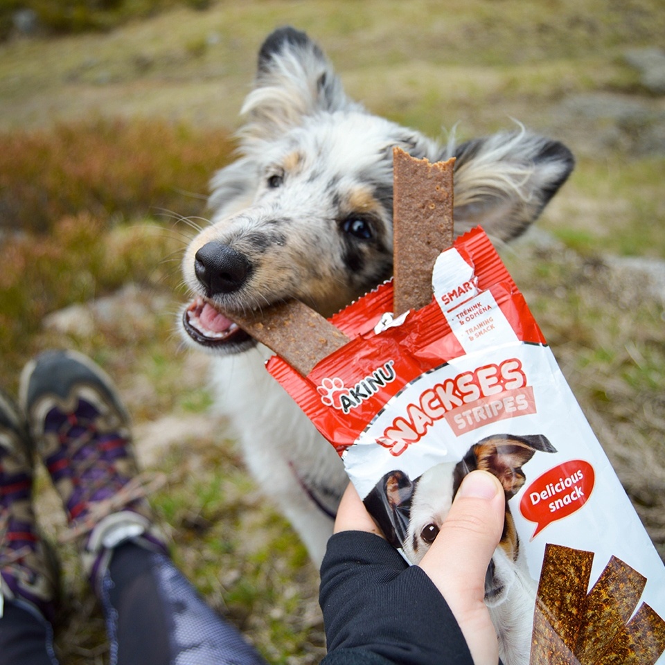 Akinu SNACKSES plátky hovězí 12ks Obrázek