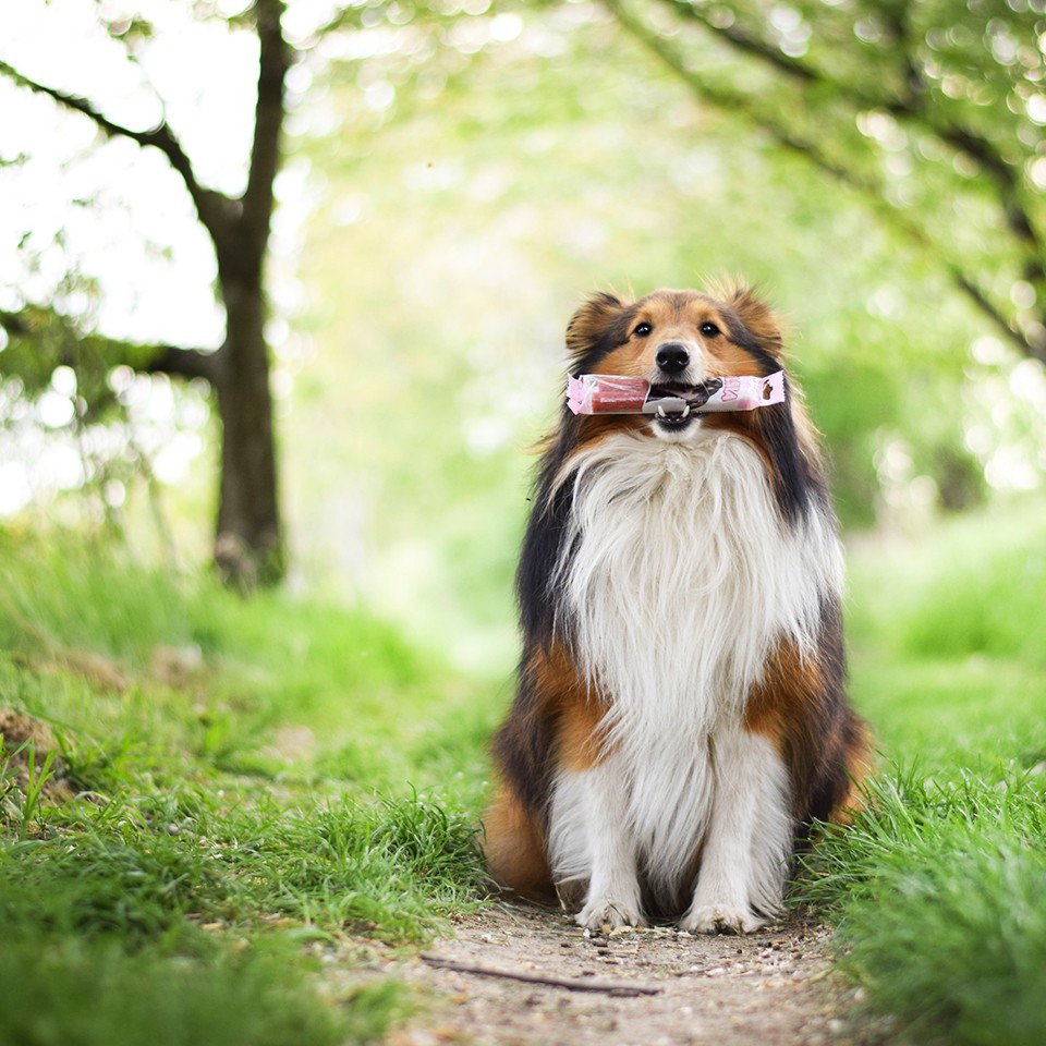 Akinu MLSKA uherské salámky 12 cm 2 ks Obrázek