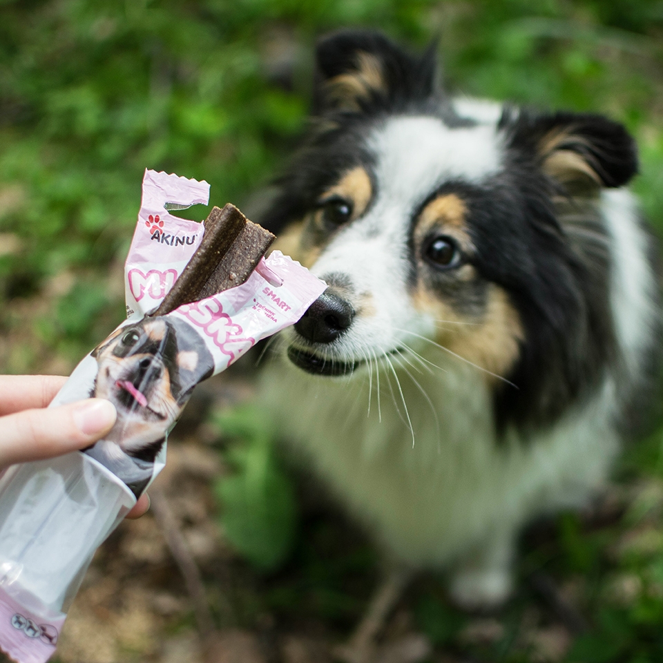 Akinu MLSKA dentální kříž 1 ks 10 cm Obrázek