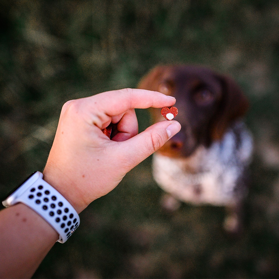 Akinu MLSKA Jorkiesky 80g Obrázek