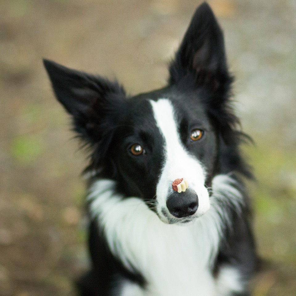 Akinu MLSKA Mini tlapičky 70g Obrázek
