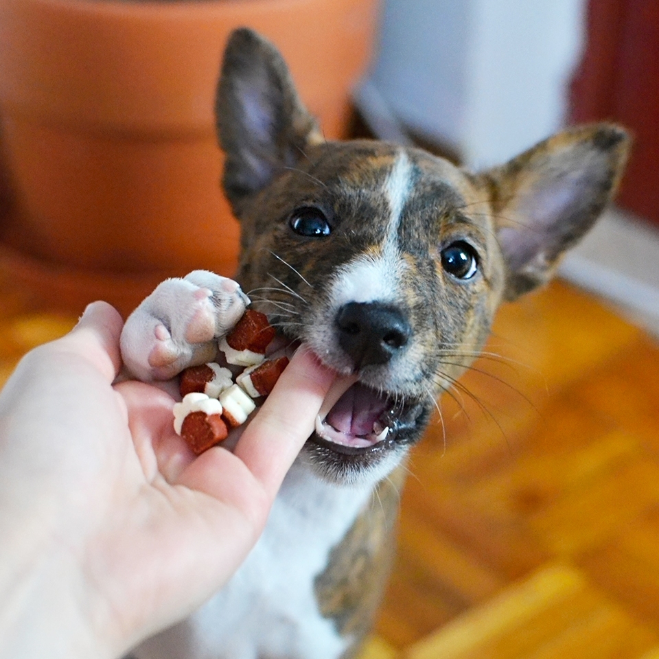 Akinu MLSKA Mini tlapičky 70g Obrázek