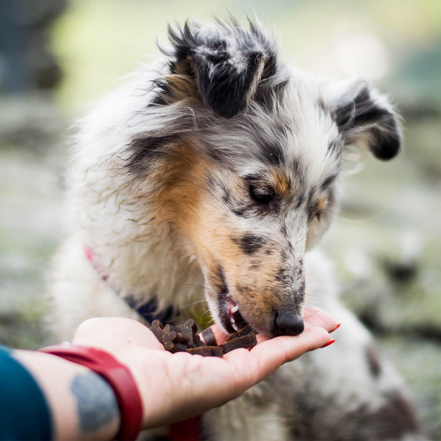 Akinu Kostičky MINI pro štěňata s vápníkem 60g Obrázek
