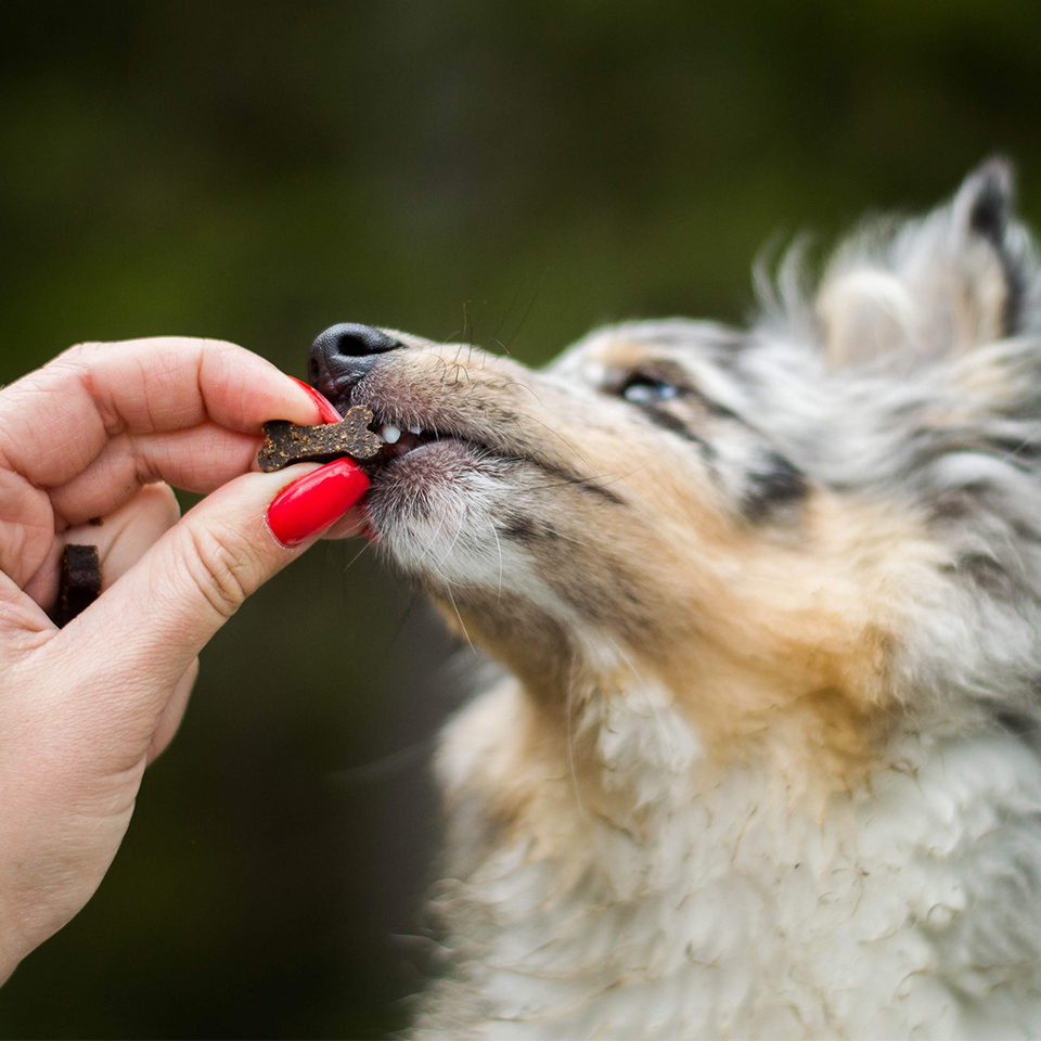 Akinu Kostičky MINI pro štěňata s vápníkem 60g Obrázek