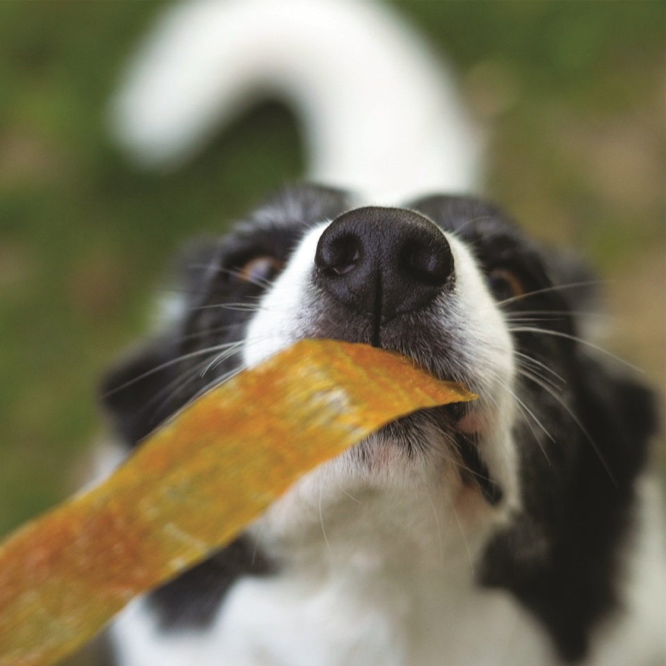 Akinu kolagen pásky s drůbežími játry 60g Obrázek