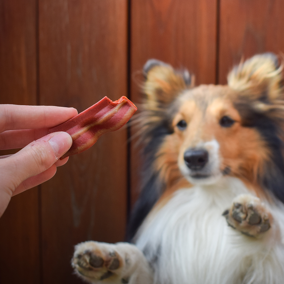 Akinu BACONIES slaninky pro psy 85g Obrázek