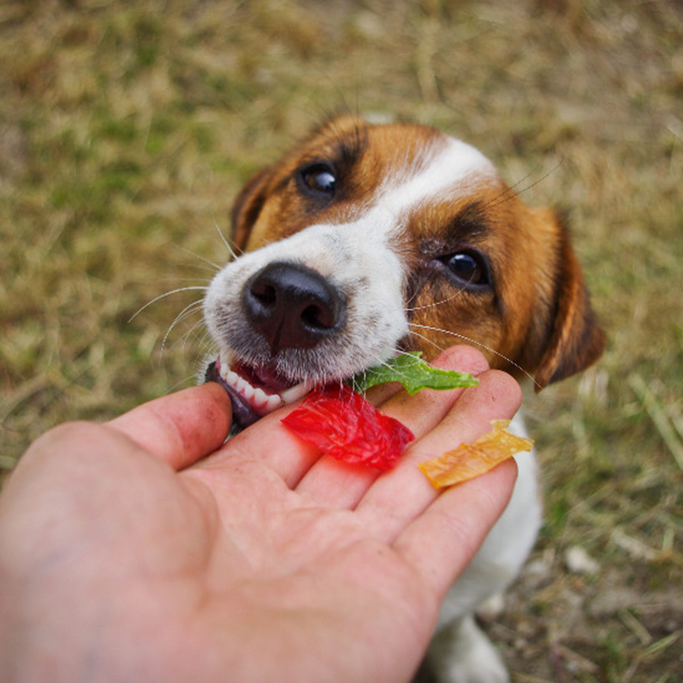Akinu Kolagen chipsy 60g Obrázek