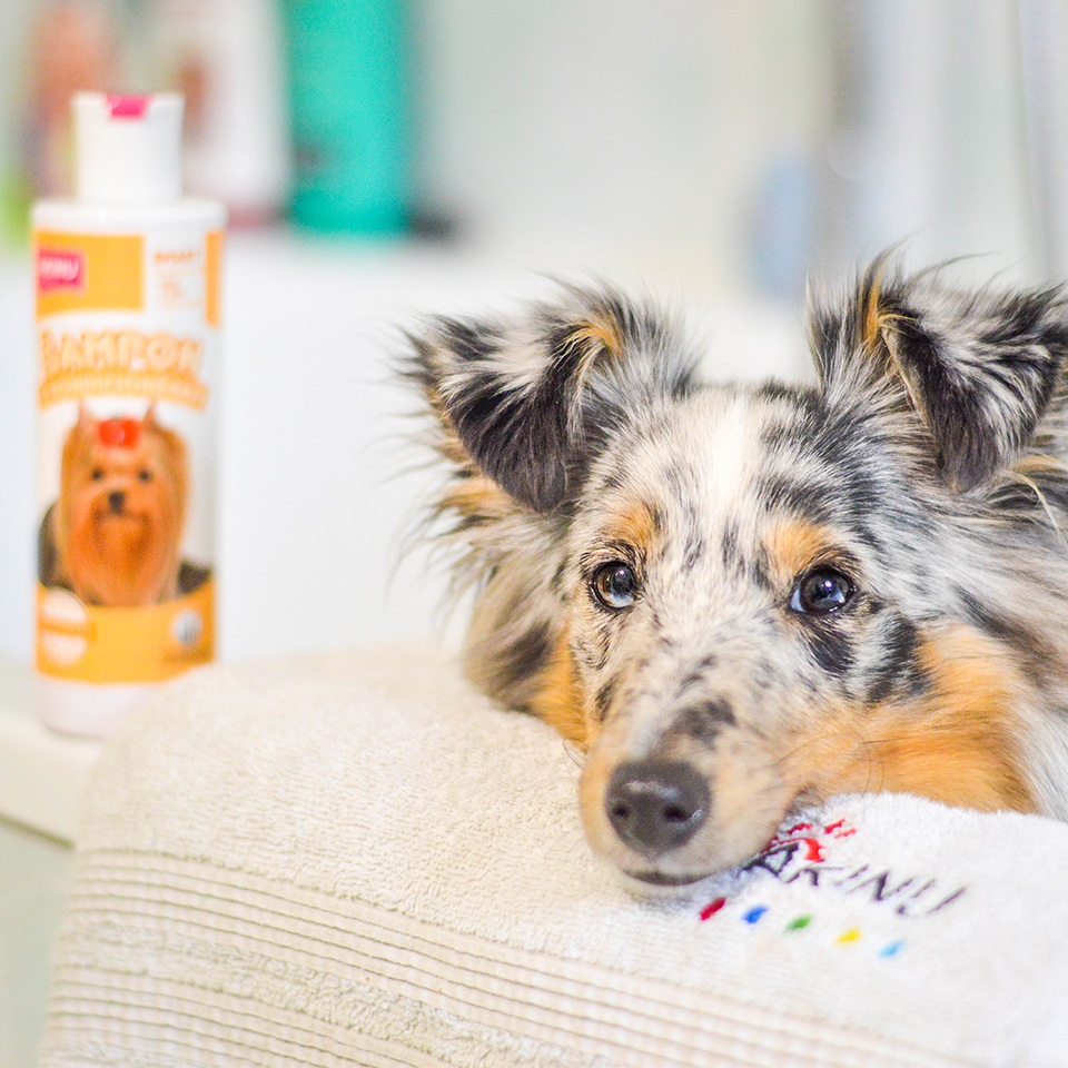 Akinu šampon s kondicionérem 250ml Obrázek