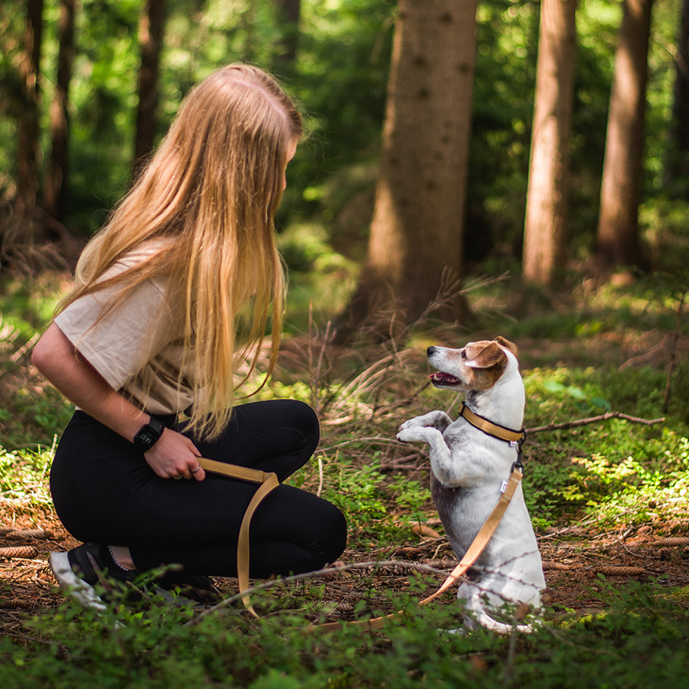 Akinu Vodítko černozlaté, 120 cm Obrázek
