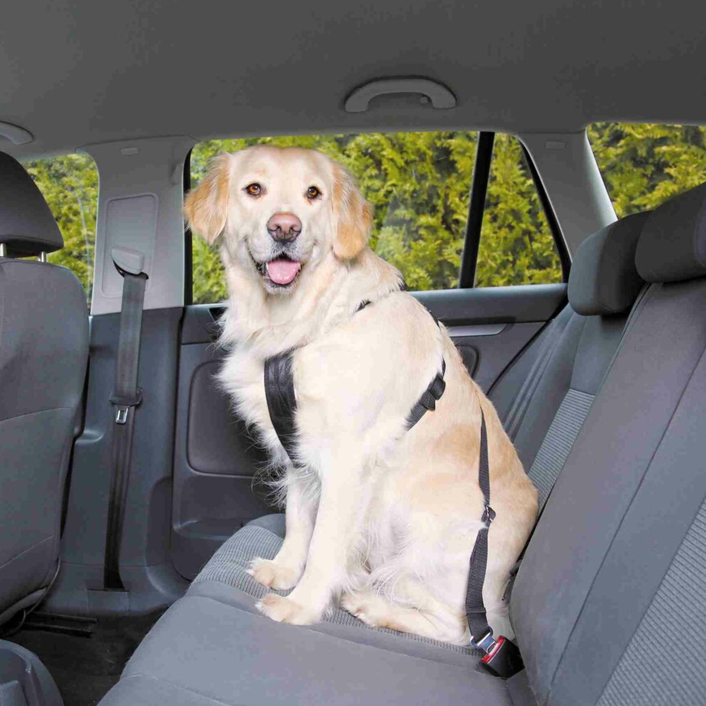 Postroj pes Bezpečnostní do auta L Trixie Obrázek
