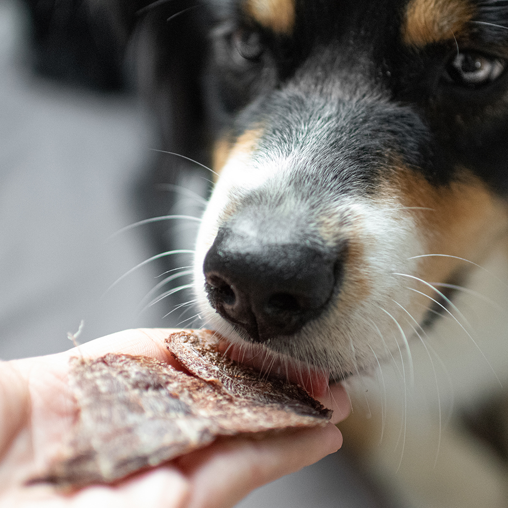 Akinu VITALITY Jerky box 4+1 ZDARMA Obrázek