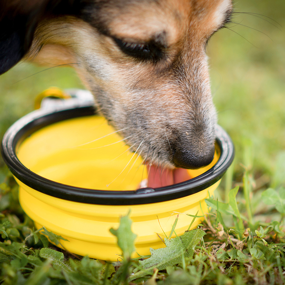 Akinu skládací miska 500 ml Barva: Oranžová Obrázek