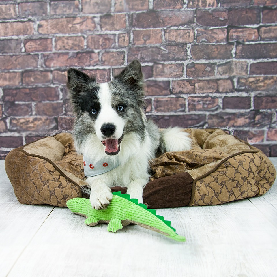 Akinu pelech GOLD 4hranný L 90x67cm Obrázek