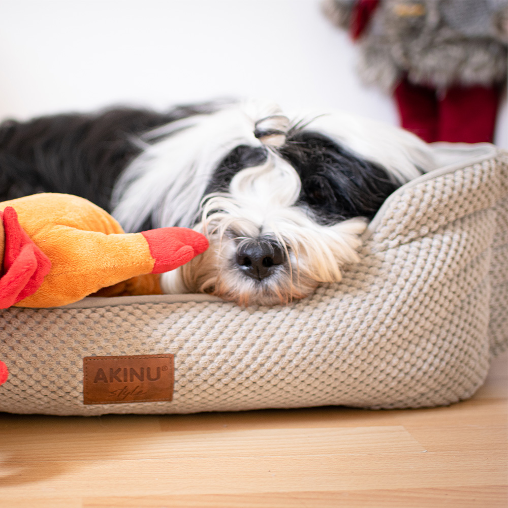 Akinu pelech pro psy šedý L 70x55x20 cm Obrázek