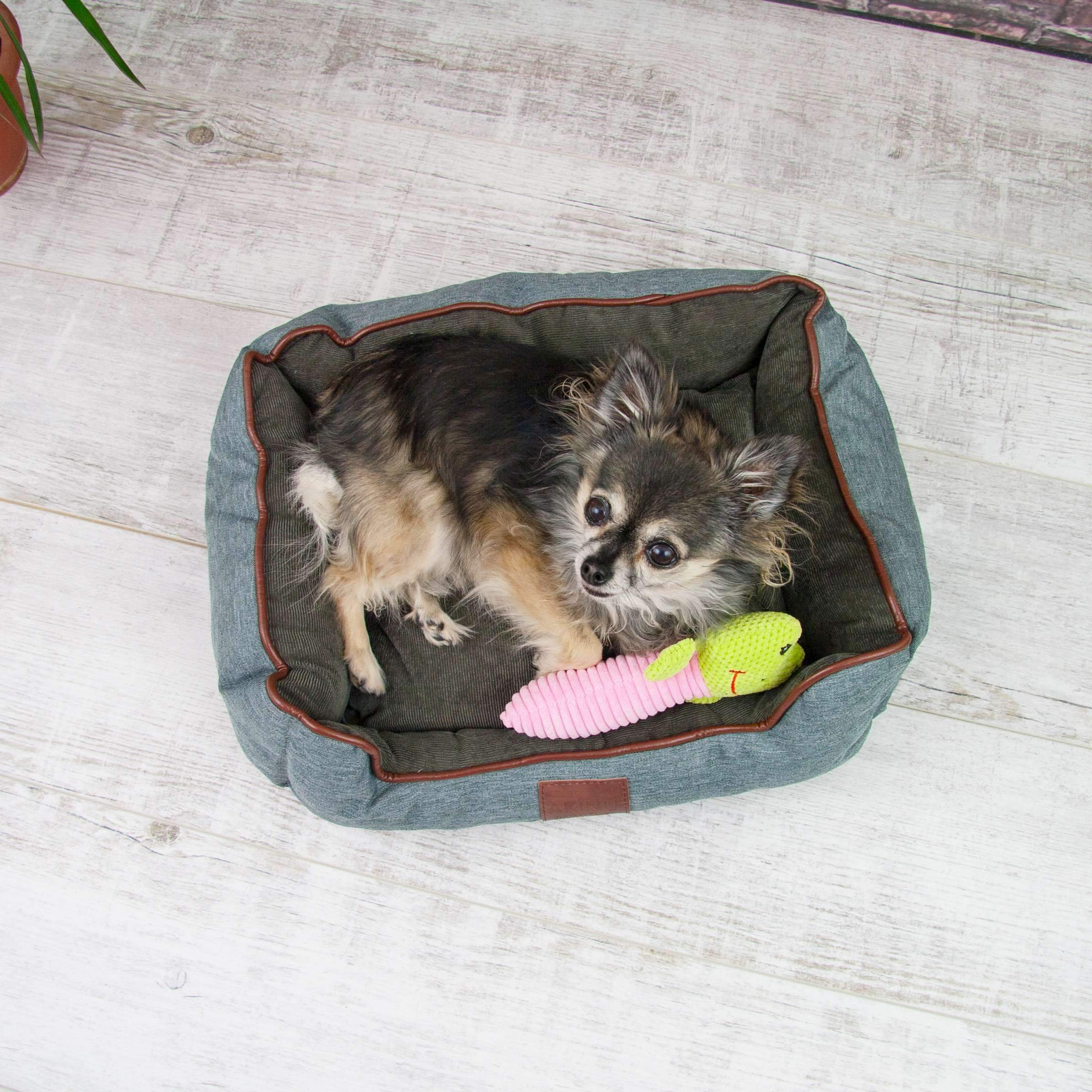 Akinu pelech CHESTER XS 45x37x15 cm Barva: Červená Obrázek