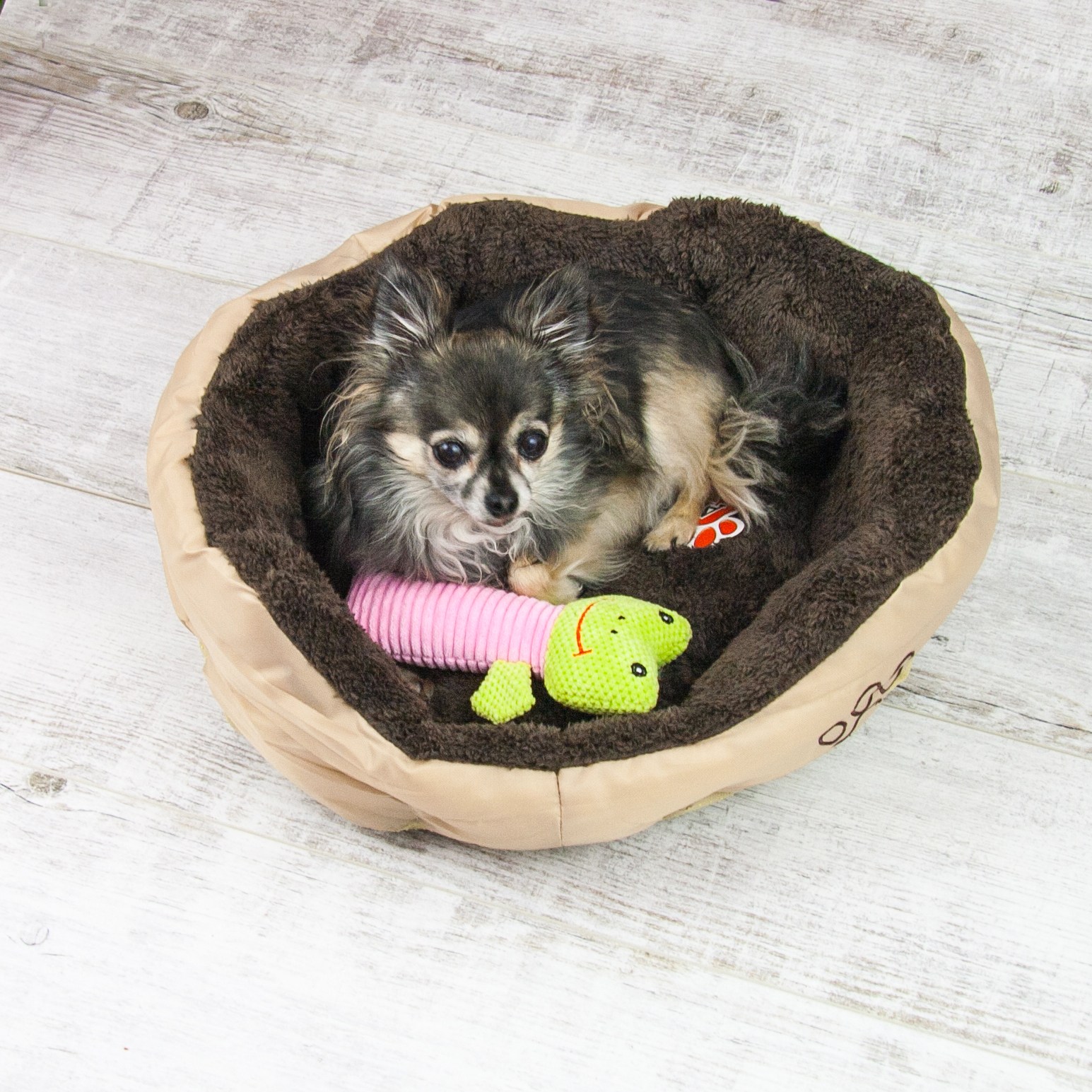 Akinu pelech nylon&fleece s tlapkou kulatý S 45x40 cm Barva: Béžová Obrázek