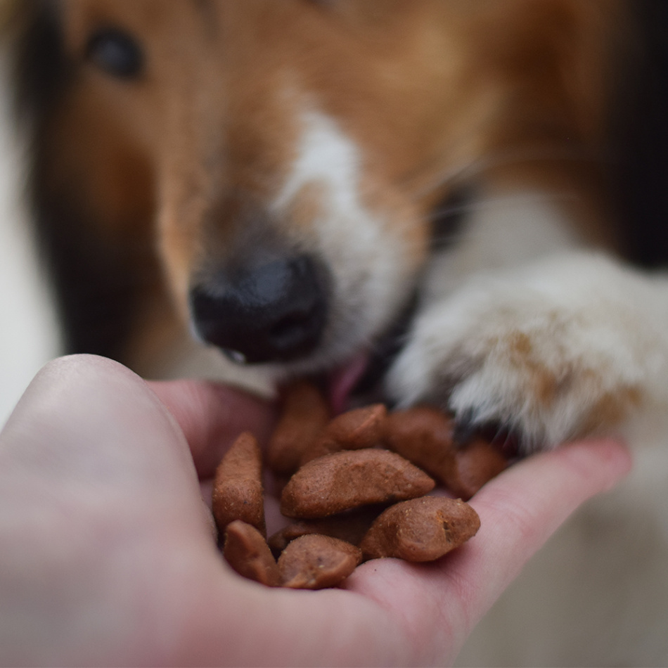 Akinu kostičky pro psy poloměkké 500 g Obrázek