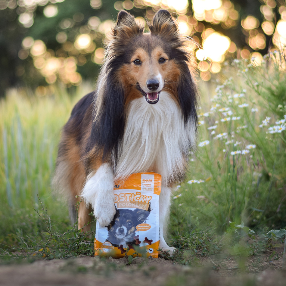 Akinu kostičky pro psy poloměkké 500 g Obrázek