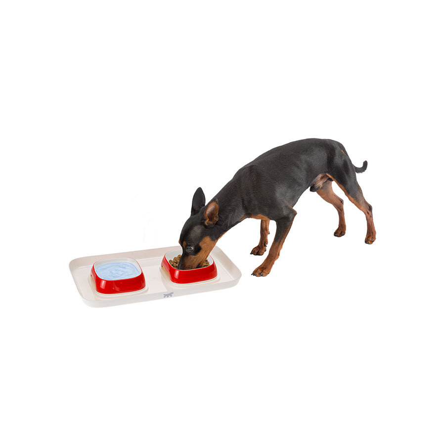 Ferplast GLAM TRAY sada misek s podnosem S béžová Obrázek