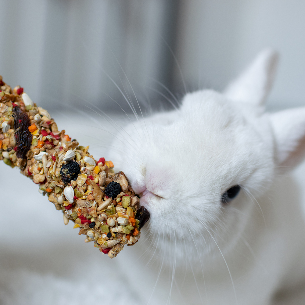 Sippy tyč pro hlodavce s ovocem 2ks Obrázek