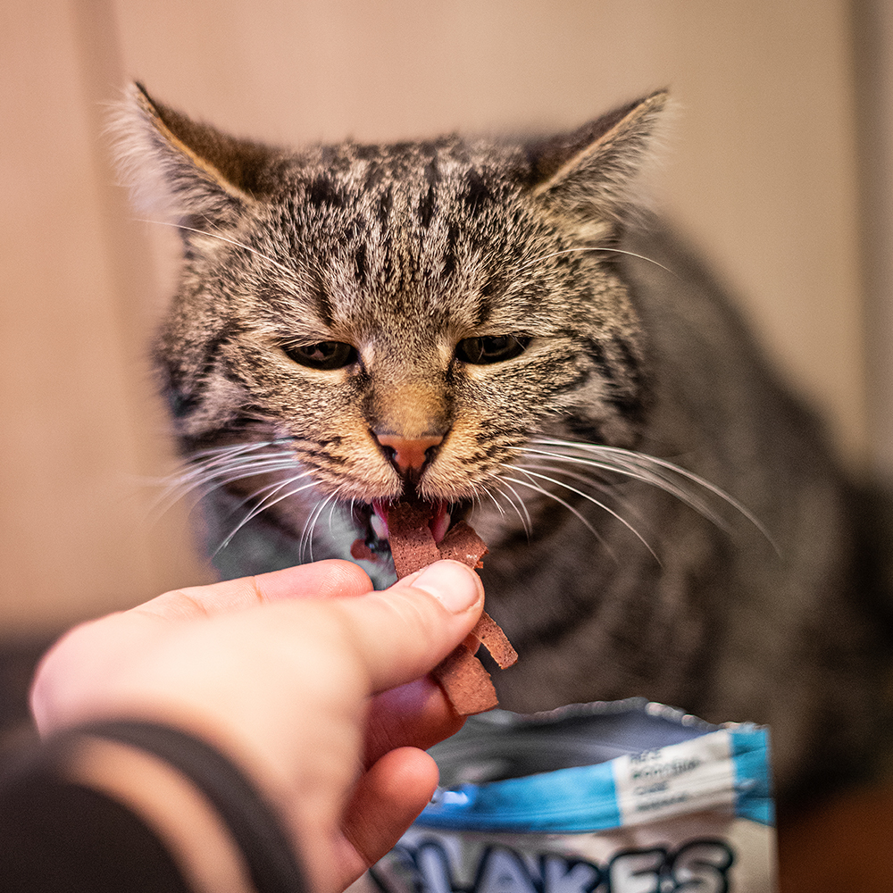 Akinu AK FLAKES masové plátky pro kočky 50g Obrázek