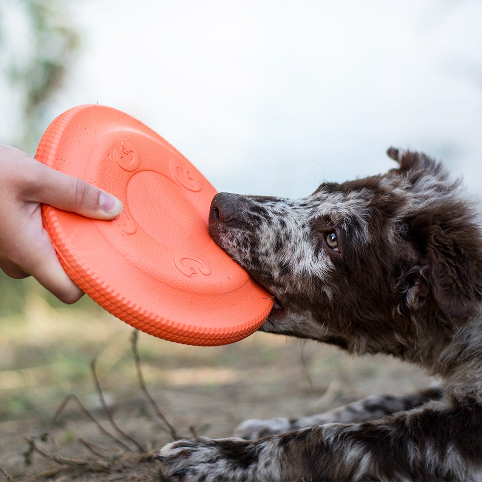 Akinu AQUA pěnové frisbee malé 17 cm Barva: Zelená Obrázek