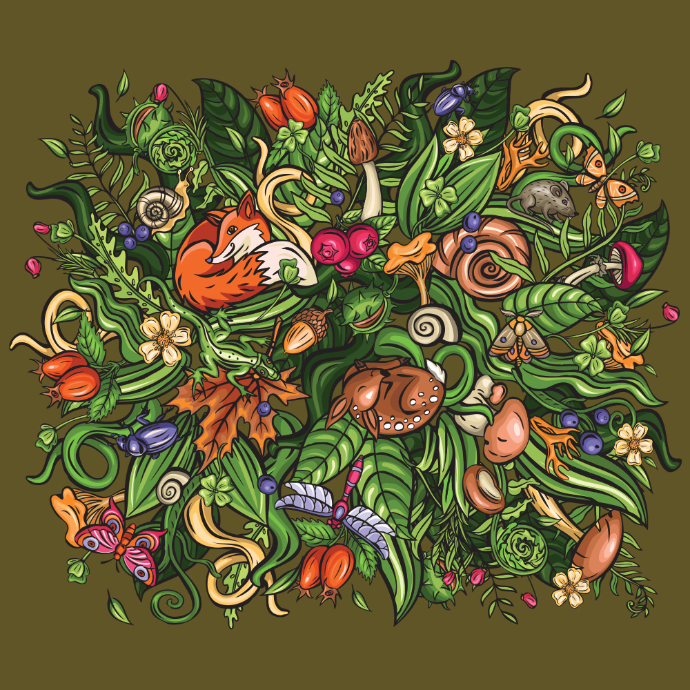 Akinu ČESKÝ LES podložka Z LESA A KAPRADÍ M 85x65 cm Barva: Zelená Obrázek