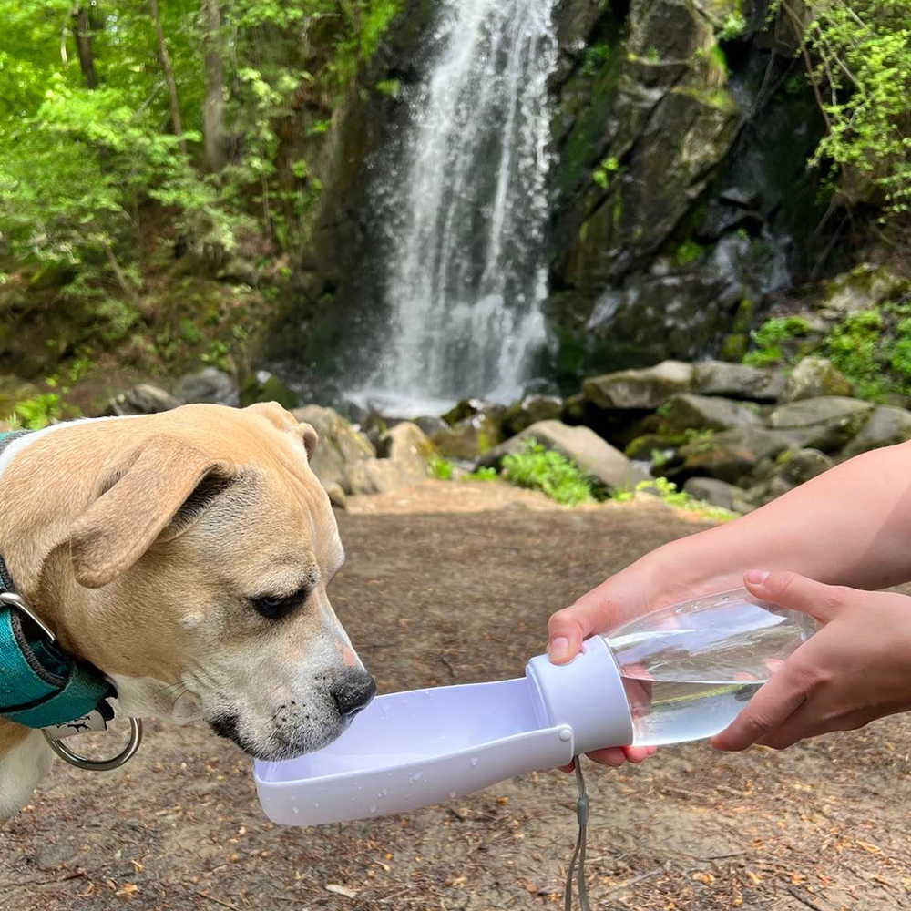Akinu cestovní lahev 550 ml Barva: Růžová Obrázek