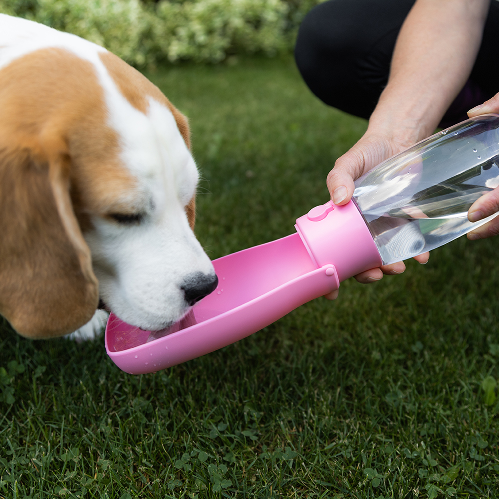 Akinu cestovní lahev 550 ml Barva: Růžová Obrázek