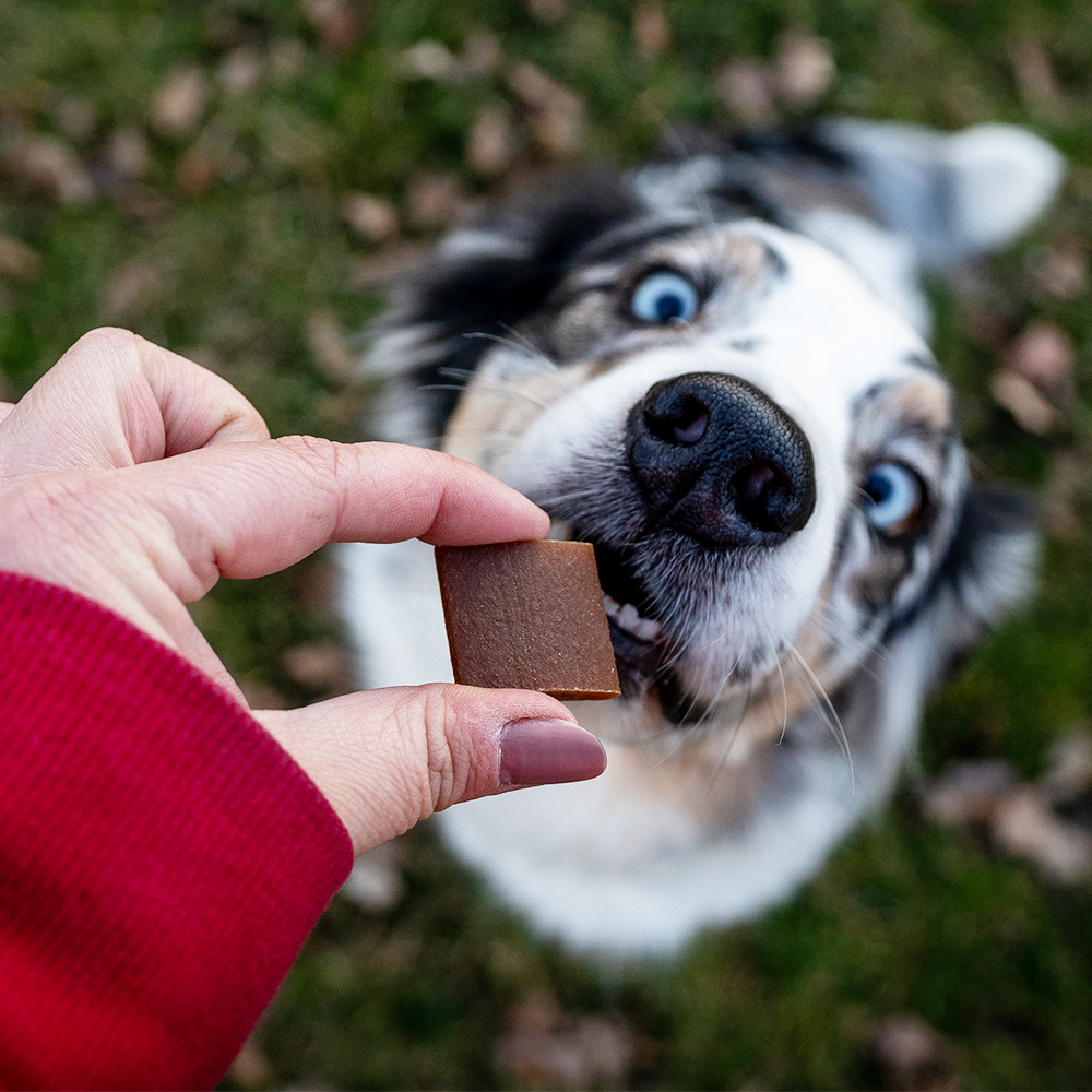 Akinu Flákota krůtí kousky pro psy 100 g Obrázek