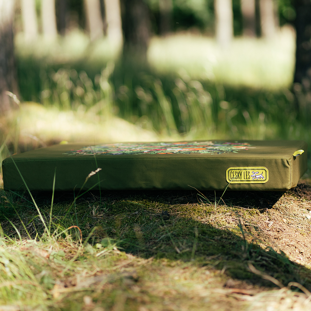 Akinu ČESKÝ LES matrace Z LESA A KAPRADÍ M 80x55x9 cm Barva: Zelená Obrázek