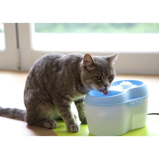 Akinu Cat H2O fontána pro kočky a malé psy, adaptér 12V Obrázek