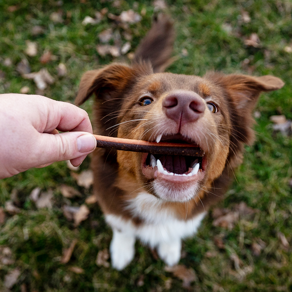 Akinu Flákota kachní tyčinky s rybou pro psy 100 g Obrázek