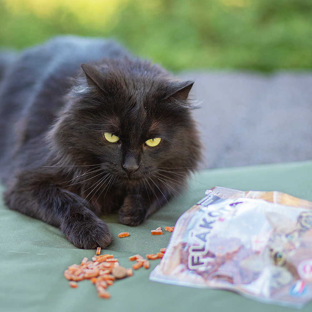 Akinu Flákota krůtí kostičky pro kočky 70 g Obrázek