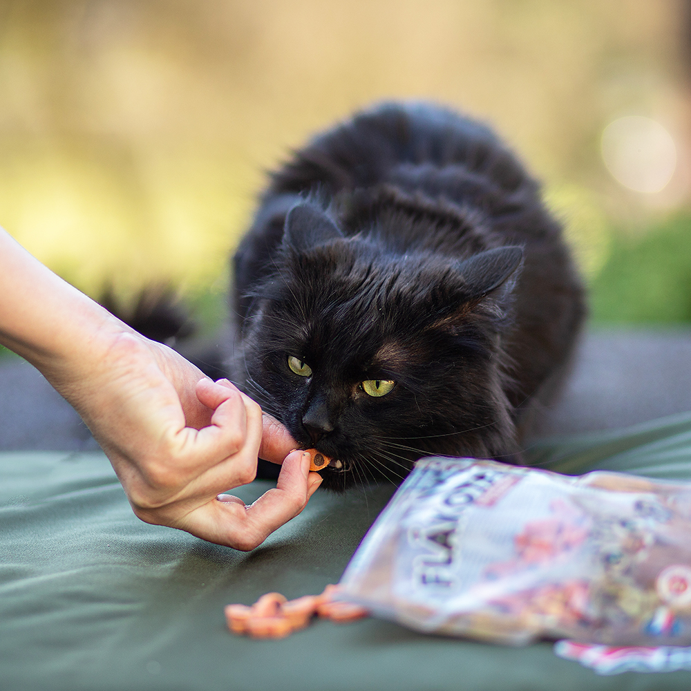 Akinu Flákota kachní rybičky s rybou pro kočky 70 g Obrázek