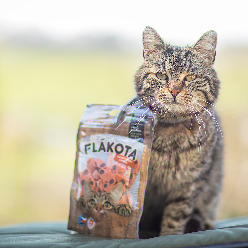 Akinu Flákota kachní rybičky s rybou pro kočky 70 g Obrázek