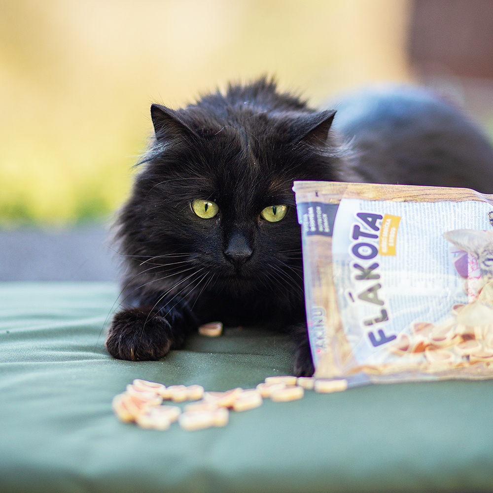 Akinu Flákota kuřecí srdíčka s rybou pro kočky 70 g Obrázek