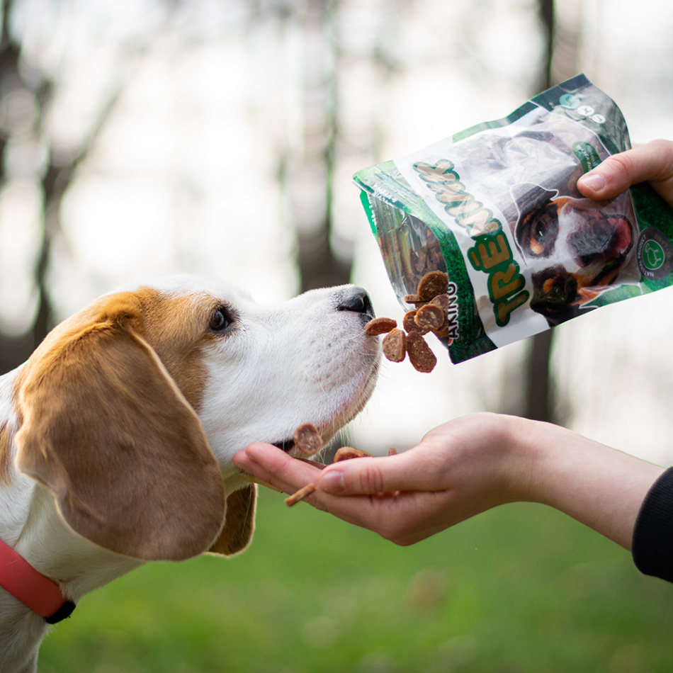 Akinu Tréninkovky   multifunkční šátek ZDARMA Obrázek