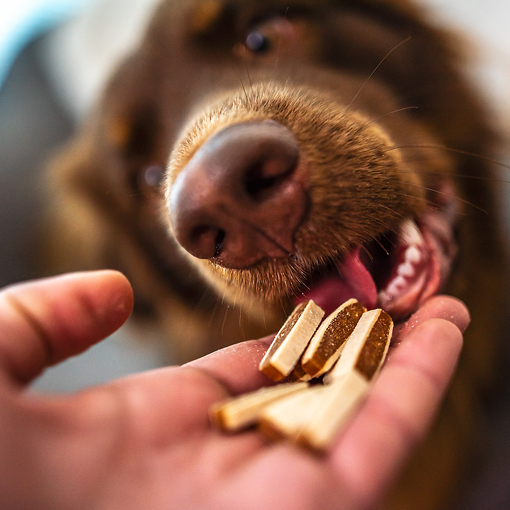 Akinu Mňamka box pro psy Obrázek